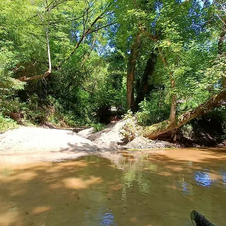 Hébergement de vacances Moulin De -gîtes 14 Pers Et D'hôtes Dans Un Lieu Naturel Préservé