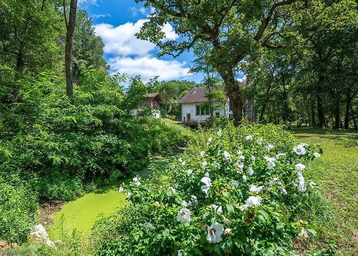 Dom wakacyjny Moulin De -gites 14 Pers Et D'hotes Dans Un Lieu Naturel Preserve Sore